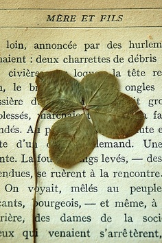 rencontre flickr
